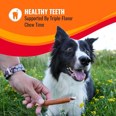 Good 'n' Fun Rolls Long-Lasting Dog Treat, For Large Dogs, With Real Proteins, Beef Hide and Premium Chicken, Supports Dental Health, Mental Stimulation, 6 count