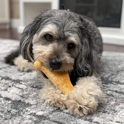 Fieldcrest Farms Nothin' to Hide Collagen-Based Dog Chew, Wishbone, Beef Flavor, Ultra-Premium, for Dogs Over 50lbs, Easily Digestible, Supports Skin, Coat, Joints & Muscles, 7-Inch, 1 Piece