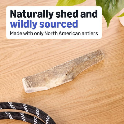 Amazon Basics Split Elk Antler, Naturally Shed, Long Lasting for Aggressive Chewers, Medium (Best for Dogs 15-30 lbs) (Previously Wag)