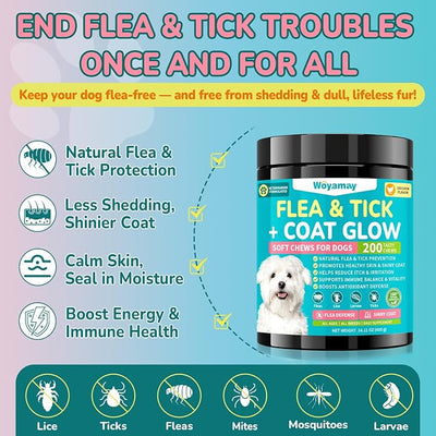 Woyamay Flea and Tick Prevention for Dogs, Natural Flea + Coat Glow Soft Chews, Dog Flea and Tick Treatment Chewable, Reduces Itch & Shedding with Fish Oil & Neem, Chicken Flavor