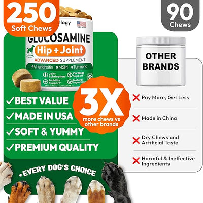 Glucosamine for Dogs - 250 Chews with Chondroitin - Hip and Joint Supplement with MSM - Turmeric - Omega 3 - Joint Pain Relief - Advanced Support for Dog Health - For Large, Medium & Small Breeds