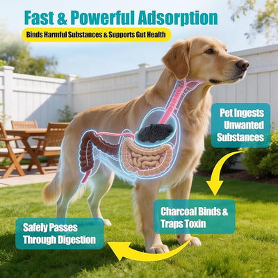 Activated Charcoal for Dogs & Cats (60 cc) – Quick Digestive Support Oral Paste for Occasional Upset Stomach, Loose Stool & Gas, Toxin Absorbing Aid, Animal Use Only, Made in USA