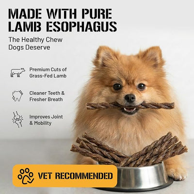 Dog Chits Lamb Esophagus Chews for Dogs & Puppies - Natural Single Ingredient - High Protein, Low Fat Lamb Dog Treats - Long Lasting, Easy to Digest - Great for Joint, Dental Clean Crunch - 12in, 8pk