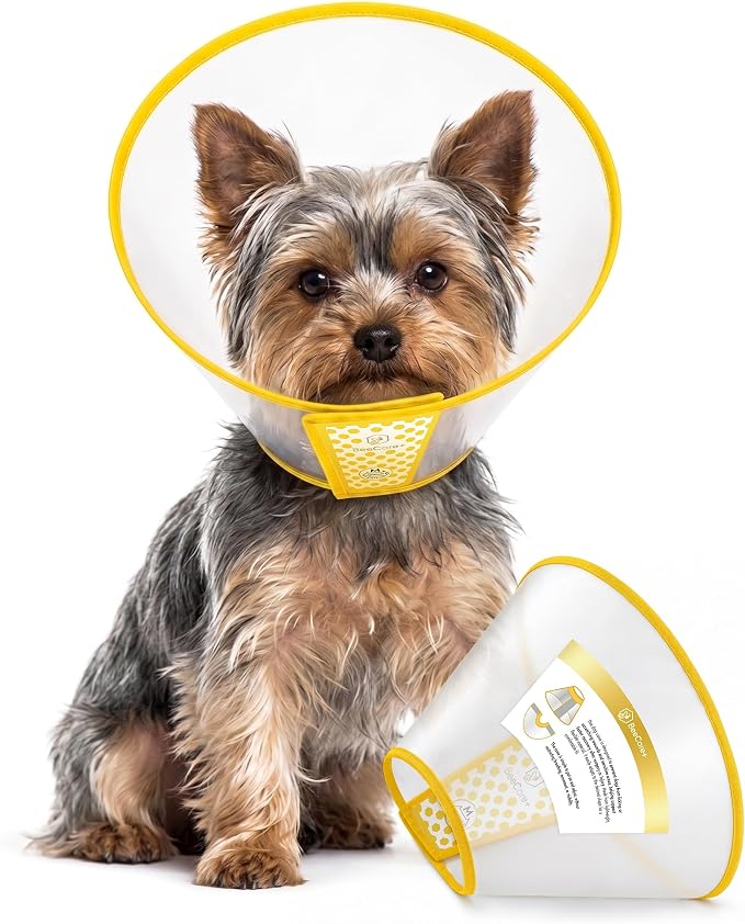Cone for Dogs to Stop Licking & Scratching Wounds – Adjustable Dog Cone Alternative for Puppies & Small Breeds – Grooming & Post-Surgery Care – Elizabethan Collar for Neck Circumference 12.2-14.2 in