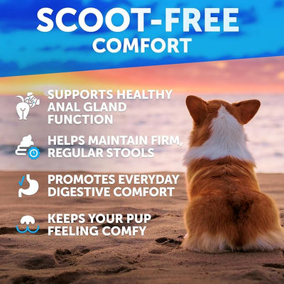 Bye Scoot - Anal Gland Support Chews for Dogs - Fiber Blend with Pumpkin, Psyllium, Slippery Elm, Digestive Enzyme - Scoot Treatment - Supplement for Gut, Anal Gland Health, Stool Quality - 120 Treats