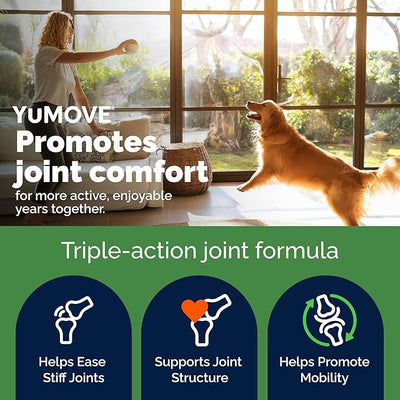 YuMOVE Adult Dog Hip & Joint Chew ActivEase Green Lipped Mussel, Glucosamine for Dogs, Hyaluronic Acid & Omega 3, Vet Formulated Mobility Support (60ct Chews, Regular Strength)