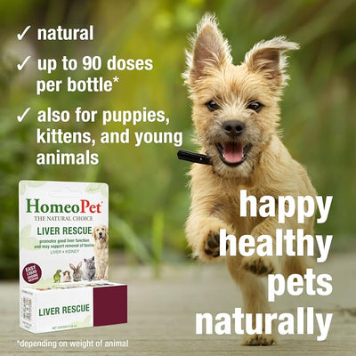 HomeoPet Liver Rescue Safe and Natural Liver-Support Supplement for Cats Dogs and Other Small Animals 15 Milliliters