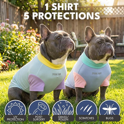 Spark Paws Sunblock Dog T-Shirt, SPF30 Protection, Lightweight Breathable Quick Dry for Dogs with Sensitive Skin - Breeze & Sorbet (Set of 2) - Size L