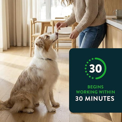 Capstar for Dogs (nitenpyram), Fast-Acting Oral Flea Treatment for Dogs Over 25+ lbs, Vet-Recommended Flea Medication Tablets Start Killing in 30 Minutes, 12 Doses (Includes Two 6-Count Boxes)