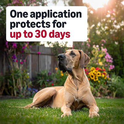 Amazon Basics Flea and Tick Topical Treatment and Prevention for Extra Large Dogs (89-132 lbs), Fast Acting and Long Lasting, 3 Count, Packaging May Vary