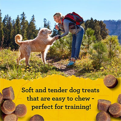 Zuke's Mini Naturals Dog Training Treats, Beef Recipe, Soft Mini Dog Treats with Vitamins & Minerals, Made for All Breed 16 Ounce (Pack of 2)