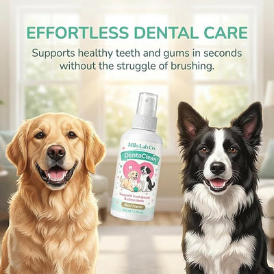 Milolabco Probiotic Dental Spray, Milo Lab Co Dentaclean Spray for Dogs, Freshens Breath, Supports Healthy Gums & Teeth, with Probiotics, Calendula Extract & Brown Algae, 100 ml/3,38 Oz