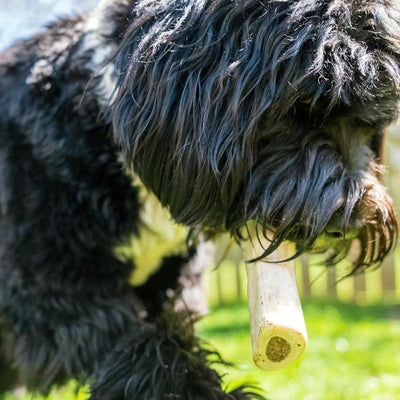 Cadet Stuffed Shin Bone, Long Lasting Dog Bones for Aggressive Chewers, High Protein Filled Dental Chew, Bully Stick Peanut Butter Filling, 5-6" for Large Dogs