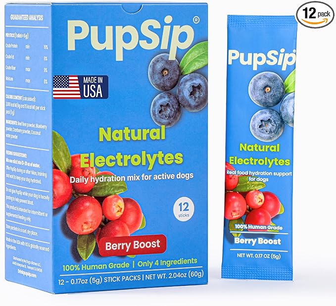 Dog Electrolytes – Hydration Support for Heat, Travel & Exercise – Helps Prevent Dehydration & Encourage Drinking – Water Flavor Enhancer with Electrolytes for Dogs, 12 Sticks