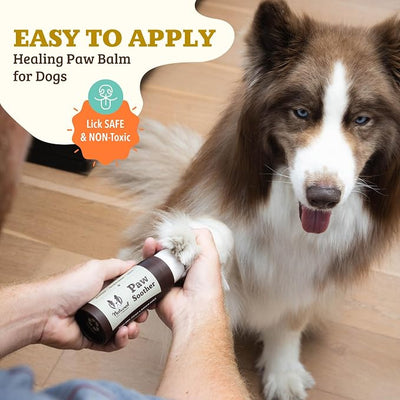 Natural Dog Company Paw Balm & Wax Bundle, Paw Soother + PawTection, Protects & Heals Dry, Cracked Dog Paw Pads, Paw Pad Protector for Exteme Weather, Lick-Safe, Coconut Oil, 2oz Sticks