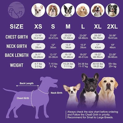 cyeollo 2pack Surgery Recovery Suit for Dogs Cats Soft Breathable Female Male Pet Bodysuit After Surgery for Spay, Neuter, Surgical Recovery Onesie Shirt for Small Dogs, Pink & Purple, M