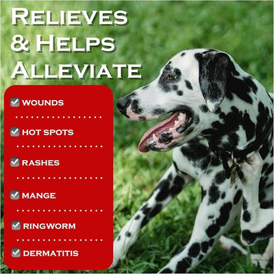 Show Out Skin & Wounds Spray for Dogs — Helps Control Dog Mange & Itchy Skin | Natural Relief for Hot Spots, Ringworm & Dermatitis | Gentle, Vet-Level Care (8 oz)
