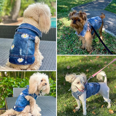 Pet Clothes Vintage Denim Dog Jacket with Daisy Embroidery - Puppy Stylish Pet Coat for Chihuahua, Yorkie Small Breeds - All-Season Comfort (Blue,XX-Large)