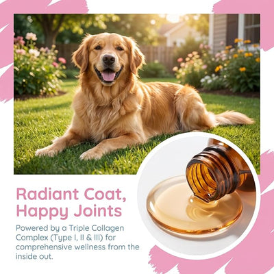 Collagen for Dogs, Premium Liquid Collagen for Dogs, Support for Skin & Joints & Gut & Overall Vitality, 60ml/2floz