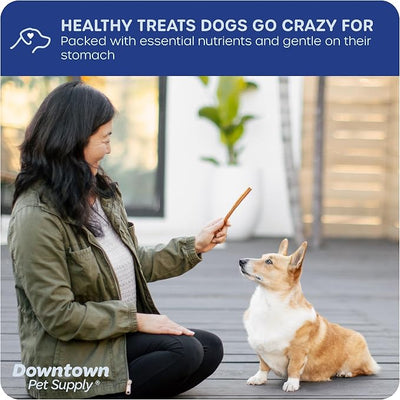 Downtown Pet Supply Bully Sticks for Dogs, Junior Size (6", 40-Pack) Rawhide Free Dog Chews Long Lasting Non-Splintering Pizzle Sticks - Low Odor Bully Sticks for Small Dogs