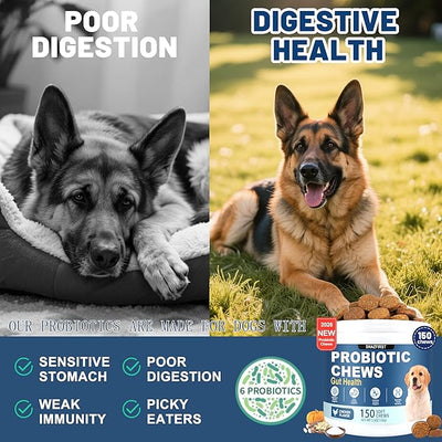 Probiotics for Dogs, Dog Probiotics Chews for Digestive Health & Gut Health, Improve Immune System,Constipation & Diarrhea Relief(Chicken Flavor, 150 Chews)