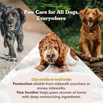 Natural Dog Company Powerhouse Bundle, Includes 5 Healing Balms that Relieve Skin Irritations, Cracked Paws and Dry Noses, Organic, All Natural Ingredients, 5 X 0.15oz Travel Sticks