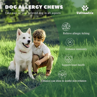 Dog Allergy Chews - Dog Allergy Relief & Immune Supplement with Probiotics, Colostrum & Omega 3 - Supports Skin & Coat Health, Soothes Paw Licking - Chicken Flavor, 400 Soft Chews