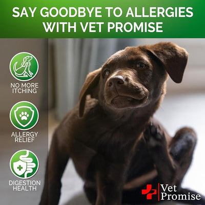 Dog Allergy Relief Chews - 170 Dog Allergy Chews - Itch Relief for Dogs - Anti Itch for Dogs - Dry & Itchy Skin - Allergies & Immune Support Supplement, Omega 3 Fish Oil, Colostrum - Made in USA