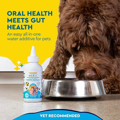 RADIUS OralPro+ Pet Probiotic Enzymatic Water Additive - Dog and Cat Dental Care Solution - Plaque & Tartar Defense Meal Supplement - Fresh Breath & Gut Health - Calming Vanilla, 4 Oz (Pack of1)