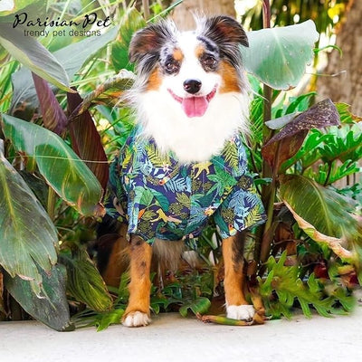 Parisian Pet Amazonia Dog Shirt - Cotton Clothes for Medium Dogs - Stylish Tropical Dog Outfit - Lightweight and Soft Puppy Clothes - Trendy Tshirts for Dogs - Comfortable Summer Pet Apparel