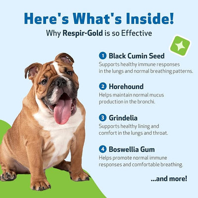 Pet Wellbeing Respir-Gold for Dogs - NASC Certified & Vet-Formulated Liquid Lower Respiratory & Lung Supplement with Black Cumin & Boswellia for Allergic Airway & Breathing, Natural Bacon Flavor, 4 oz