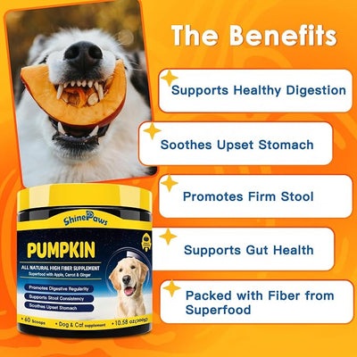 Pumpkin for Dogs and Cats - Pumpkin Powder to Make Puree, Natural Fiber for Dogs with Apple, Carrot, Ginger, Promote Regularity, Support Digestion, Diarrhea, Constipation, 60 Scoops