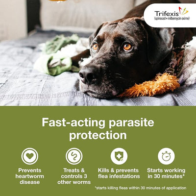 Trifexis Heartworm Prevention | Treats & Controls Flea Infestations + 4 Other Worms | Dogs 40.1-60 lbs. | 6 Chewables