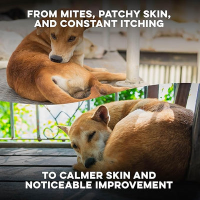 Dog Mange Support and Natural Dog Itching Relief for Canine Coat Issues & Puppy Mange, Soothes Dry Itchy Scaly Skin, Welts & Scabs - Helps Restore Fur Loss (Easy Use 400 Tiny Pills)