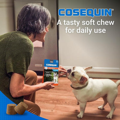 Nutramax Cosequin Minis Joint Health Supplement for Small Dogs - With Glucosamine and Chondroitin, Plus Boswellia, 45 Soft Chews