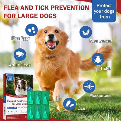 Flea and Tick Prevention for Large Dogs, Flea Drops for Dogs 45 to 88 lbs, 6 Month Support for Skin & Coat Health, Fast Acting, Dog Flea and Tick Treatment, Supplement