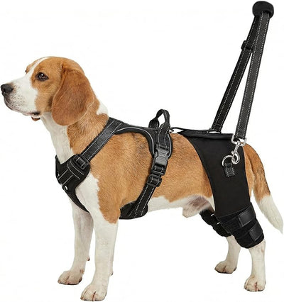 Dog Knee Braces for Torn ACL Hind Leg, Adjustable Dog Leg Braces for Back Leg with 4 Stabilizers for Luxating Patella Relieves Ligament Injury and Joint Pains