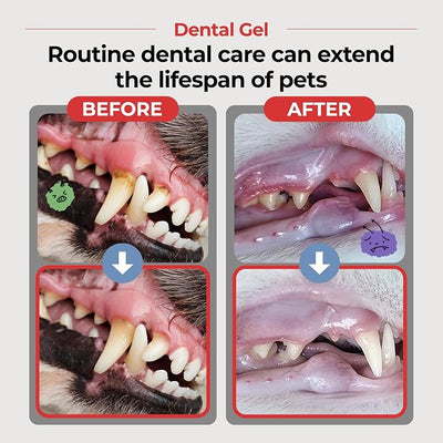 JAYU PET Dental Gel Dog Cat Toothpaste, 2.82oz 80g | Removing Plaque and Tartar, Teeth Cleaning & Breath Freshener, Puppy Kitten Dental Care, Vet Approved