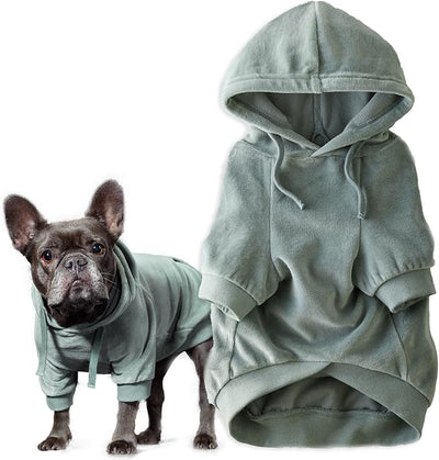 Pet Passion Cooper II Organic Cotton Velour Dog Hoodie Pet Coat for Small, Medium and Large Dogs, Sage, XXX-Small (up to 5lbs)