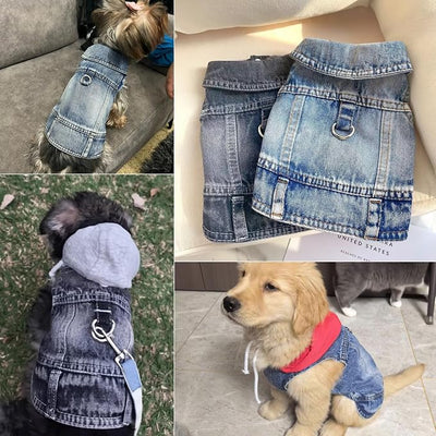 Dog Jeans Jacket for Small Dogs Boy, Puppy Denim Jacket with Leash D-Ring, Pet Cat Vest Clothes T-Shirts for Small Dogs, Puppy, Pugs, Chihuahuas, Yorkie,Teacup (Black, Large)