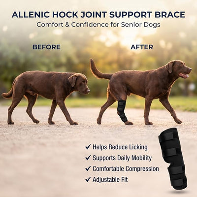 Dog Knee Brace for Hind Leg, Dog Hock Brace for Back Leg Support, Adjustable ACL CCL Brace for Dogs, Rear Leg Support for Joint Stability, Recovery & Mobility, Small Medium Large Dogs (Black, S)