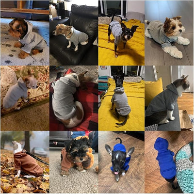 Jecikelon Soft Dog Hoodies for Small Dogs, Fleece Puppy Sweatshirt with Pockets, Warm Winter Cold Weather Coats for Pet Cat, Cute Clothes Puppy Costume (Grey, XX-Small)
