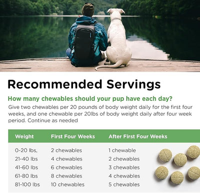 Nutri-Vet Grass Guard Chewables, Dog Urine Neutralizer for Grass, Lawn Burn Prevention, Gut Health Support with Probiotic and Enzymes, Dog Probiotics, Pet Supplement Tablets, 150 Count
