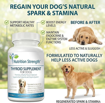 Thyroid Supplement for Dogs, Support for Hypothyroidism in Dogs with Organic Bladderwrack, Promotes Normal Function of Endocrine and Enzyme Systems, 120 Chewable Tablets