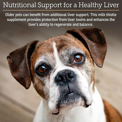 Rx Vitamins Hepato Support for Dogs & Cats - Liver Support Supplement with Milk Thistle - Boosts Liver Detox for Senior Pets - 90 ct
