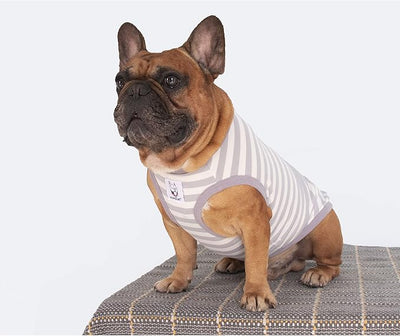 iChoue English Bulldog 100% Breathable Cotton Striped T Shirts Halloween Vest Clothes for Medium Dogs Tank Tops French Frenchie Pug Boston Terrier Pitbull Grey White Stripes - XLarge