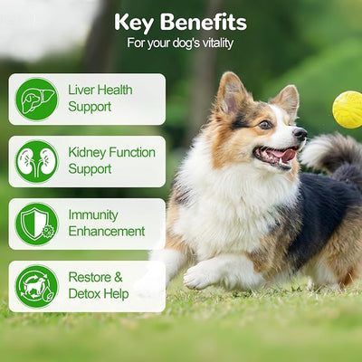 Liver Support for Dogs, Milk Thistle for Dogs - Detox, Metabolic, Dog Multivitamin Supplement for Liver and Kidney Support & Immune Health, 400 Soft Chews