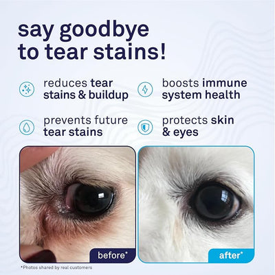 Petpost Tear Stain Remover Soft Chews for Dogs | 90 Count Cheese Flavor Dog Tear Stain Support Supplement | Gentle Eye Care for White Dogs & Light Breeds | Tylosin Free, Made in USA