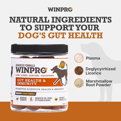 WINPRO Dog Gut Health Supplement – Plasma-Powered Soft Chews for Dog Immune Health Support & Gut Health, Made with Natural Ingredients for Dogs of All Breeds & Sizes - 60 Count
