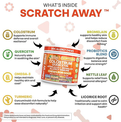 Dog Allergy Chews and Itchy Skin Relief for Dogs | Colostrum Quercetin Astragalus Bromelain | Immune Anti Itch Coat Supplement Aller Ichting Bites Treatment Paw Allergies + Echinacea Nettle Omega 3